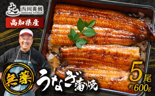 国産 うなぎ 蒲焼 5尾 約600g ▼ 国産 うなぎ 鰻 ウナギ 蒲焼 うなぎ 蒲焼き うなぎ タレ 山椒 付き うなぎ ウナギ 鰻 冷凍 鰻 うなぎ ウナギ 鰻 人気 ウナギ うなぎ おすすめ うなぎ おいしい unagi うなぎ かばやき うなぎ 高級 特別 贅沢 うなぎ ウナギ 鰻 ひつまぶし 土用 丑の日 土用丑の日 うなぎ ウナギ 夏 鰻 高知県安芸市/西岡養鰻 [CJ004]