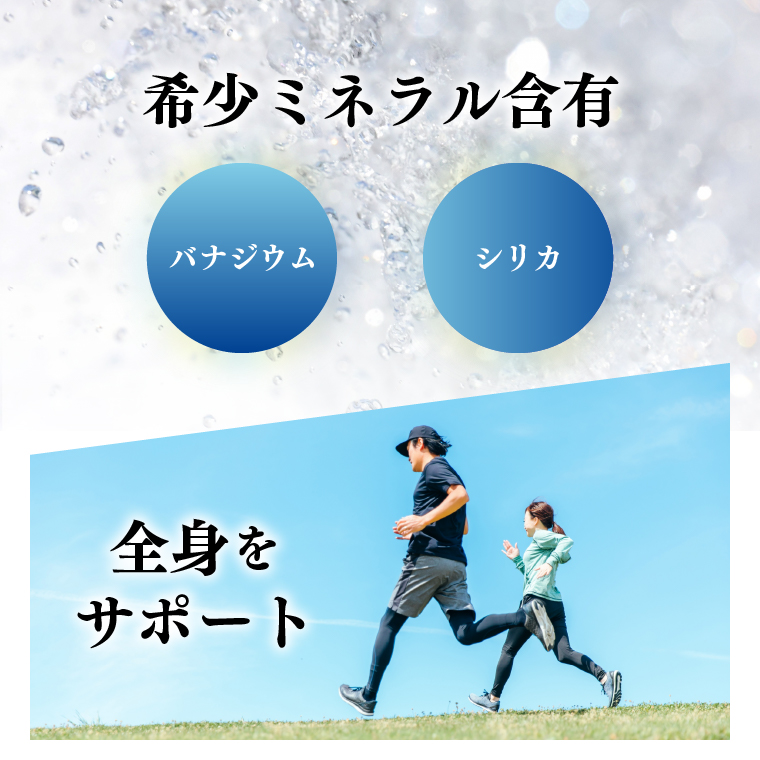 ［定期便１２ヶ月］酸素ナノバブル水 富士登山水 500ml×24本 富士山伏流水 バナジウム シリカ ミネラルウォーター 軟水 健康 飲料 備蓄 防災 （2003）