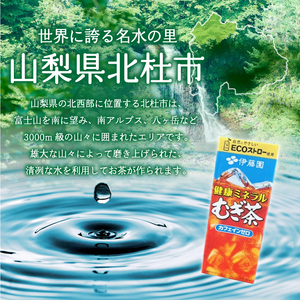 【6ヶ月定期便】健康ミネラルむぎ茶 250ml 24本 伊藤園 紙パック　麦茶 カフェインゼロ 1ケース24本 ドリンク 配達 仕送りギフト 防災  [h132]