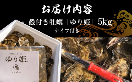 竹崎産 ブランド生牡蠣「ゆり姫」5kg（ナイフ付き） / 佐賀県 / 宗徳丸 [41ATAF004]