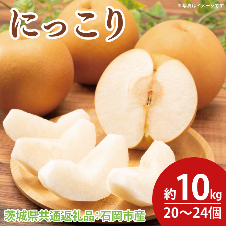 【先行予約】【2025年10月より順次発送】にっこり梨 10kg (20～24個)（茨城県共通返礼品：石岡市産）｜梨 なし にっこり にっこり梨 フルーツ くだもの 果物 数量限定 先行予約 石岡市産 共通返礼品 茨城県 大子町(CD069)