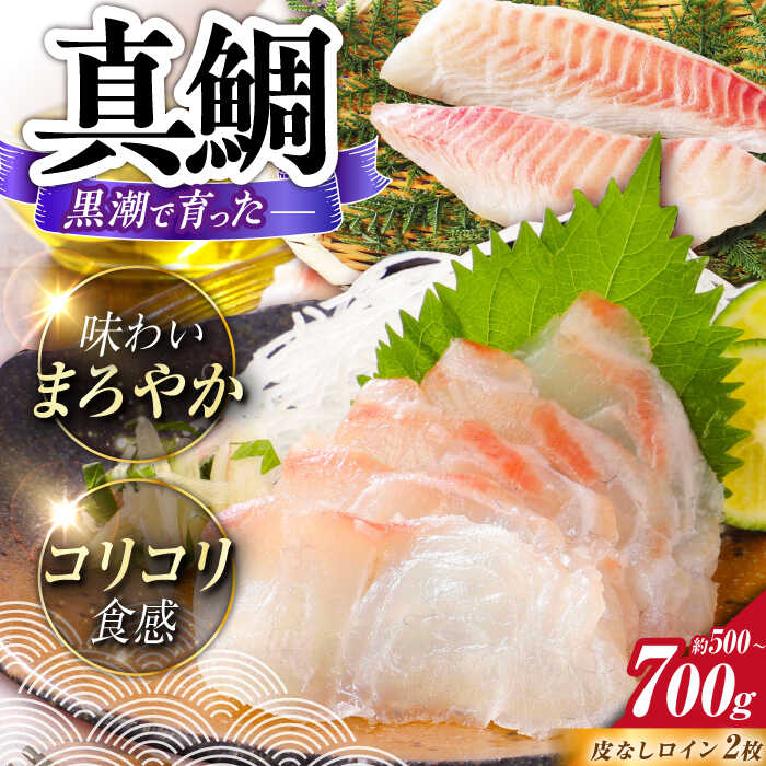 【ふるさと納税】土佐黒潮真鯛ロイン（皮なし）2枚（約500〜700g）【株式会社　羽根】[ATCK015]