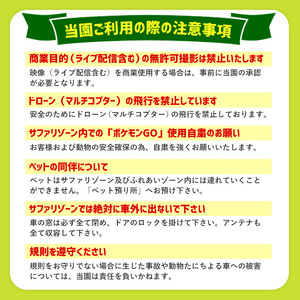 A-473-4 入園チケット（大人）５枚、クリアファイル５枚