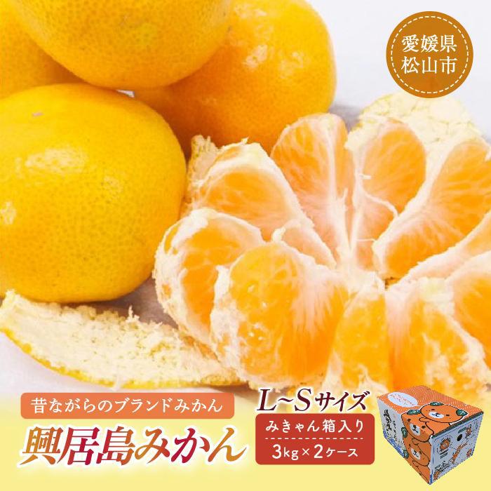 【ふるさと納税】 【先行予約】【2025年11月下旬頃より順次発送】興居島みかん 約6kg（L～Sサイズ） みかん 柑橘 興居島 ごごしま ブランド 愛媛県 松山市
