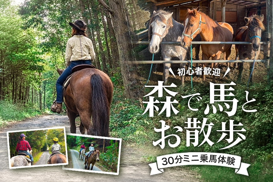 
                  [№5895-0762]初心者歓迎 森の中を馬に乗ってお散歩プラン(30分)  外乗 体験 広島 安芸高田市 エオの谷
                