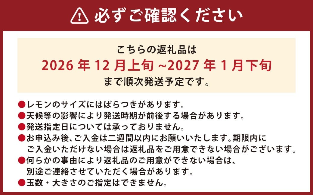 国産レモン 3kg ｜ フルーツ 果物 レモン 柑橘 れもん 檸檬 国産 静岡県 菊川市