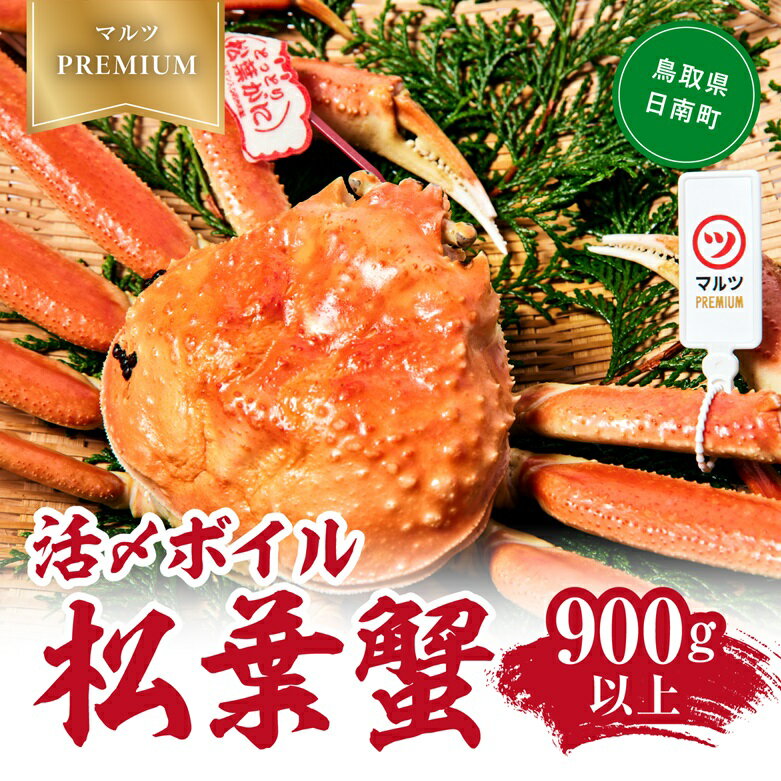 【先行予約】【ふるさと納税】【マルツPREMIUM】タグ付き 活〆ボイル松葉蟹 900g以上 松葉ガニ 松葉がに 蟹 カニ かに 境港 マルツ 鳥取県日南町