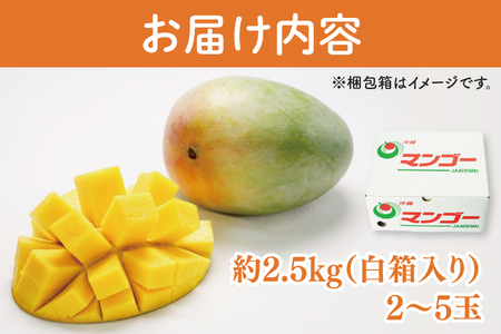 【2025年8月より順次発送】【先行予約】★訳あり★キーツマンゴー 2～5玉(約2.5kg)(白箱)ご家庭用｜沖縄県 豊見城市 訳あり わけあり 訳アリ キーツマンゴー マンゴー キーツ フルーツ 果