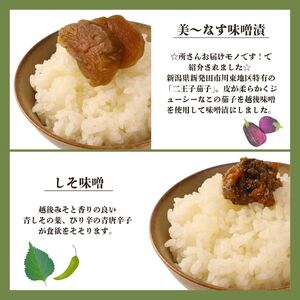 漬物 8点セット 漬物 漬物 漬物 漬物 漬物 漬物 sakuma002