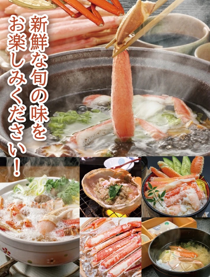 SB0768　春の生・本ズワイガニ　1匹(400g程度)