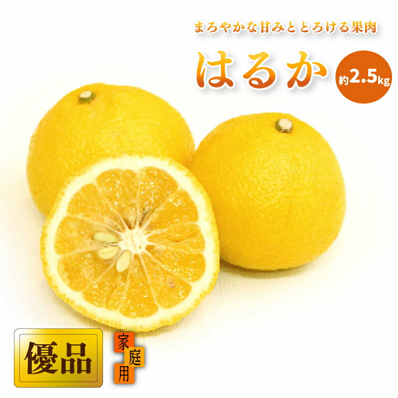 【ふるさと納税】 【先行予約】 【2026年2月中旬から発送】 はるか 家庭用(優品) 約 2.5kg | 愛媛 みかん 先行予約 蜜柑 柑橘 果物 くだもの フルーツ お取り寄せ グルメ 期間限定 数量限定 人気 おすすめ 愛媛県 松山市