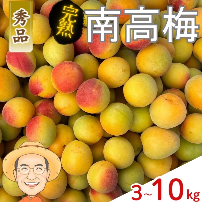 【ふるさと納税】【秀品】完熟 南高梅 約3kg 約5kg 約10kg (＋保証100g) 2L以上 カキエモン農園 【2026年6月中旬～6月下旬頃順次発送】 和歌山産 梅干し 梅酒 梅シロップ 果実 うめ 梅 ウメ カキエモン 農園 送料無料 なんこううめ なんこうばい なんこう梅 加工用 家庭用