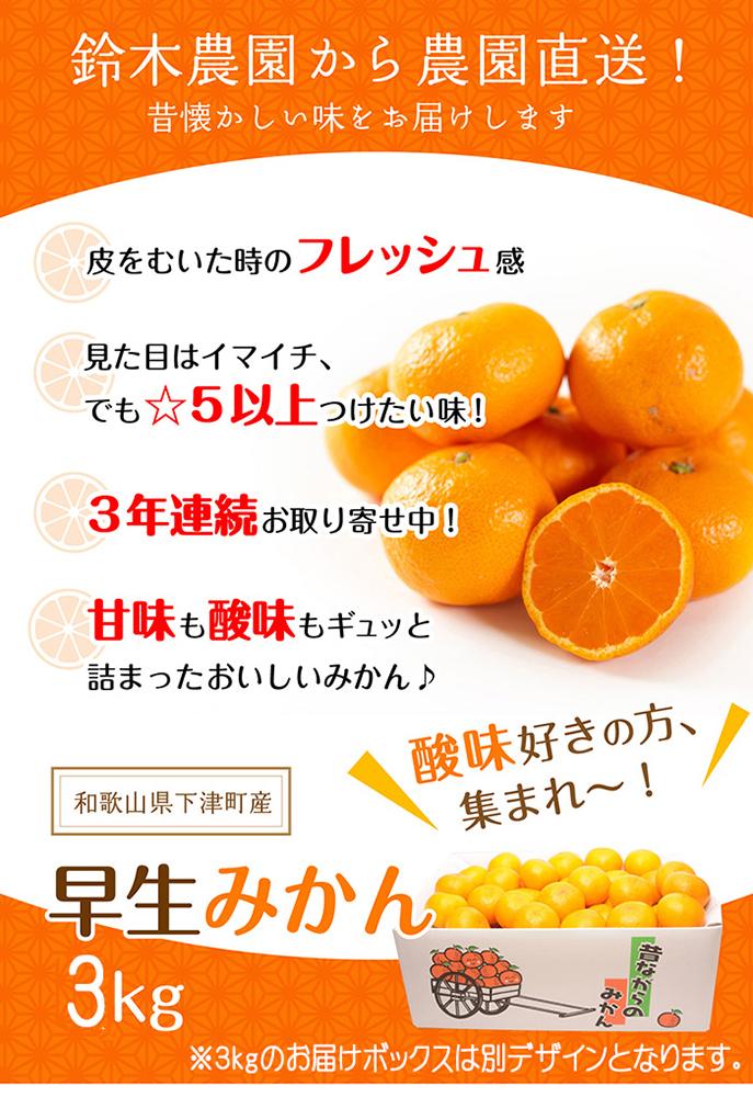 温州みかん 3kg S・M・Lサイズのいずれか【和歌山のみかん】11月～1月に和歌山鈴木農園より農園直送 温州ミカン 温州 下津みかん しもつみかん ミカン 蜜柑　mikan Sサイズ Mサイズ