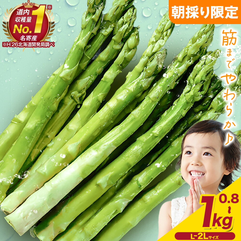 【ふるさと納税】朝採りアスパラガス 選べる Lサイズ(800g) または Lサイズ(1kg) または 2Lサイズ(800g) 《2026年5月中旬-5月下旬頃出荷予定》北海道 名寄市 送料無料 朝採り 新鮮 アスパラ