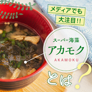 【ふるなびWEEK対象】高評価★4.8 山田湾産 天然 山田プレミアム アカモク 小分け 食べきり 冷凍 30g×3個 10セット ぎばさ ギバサ ながも 海藻 無添加 食物繊維 フコキサンチン フコ