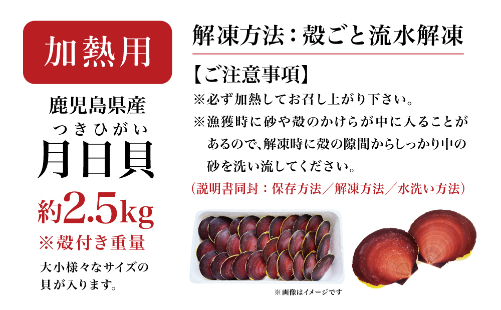 【鹿児島特産】希少 月日貝 約2.5kg （加熱調理用） ツキヒガイ つきひがい 貝 鹿児島県産 海鮮 BBQ バーベキュー アヒージョ 酒蒸し バター焼き シチュー 冷凍 南さつま市