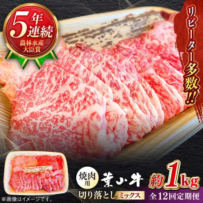 【全12回定期便】葉山牛1kg　焼肉用ミックス 牛肉（ロース、モモ、カルビ等 4種類 ) 食べ比べ[ASBD036]