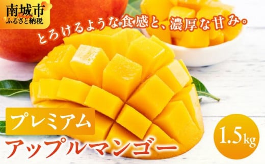 【先行予約】南城市観光協会が厳選！プレミアムアップルマンゴー1,5kg