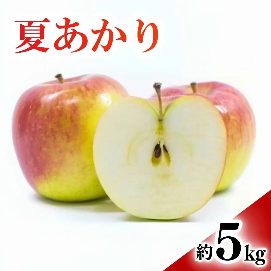 【2026年先行予約】りんご 夏あかり(長野県オリジナル品種) 約5kg |夏あかり
