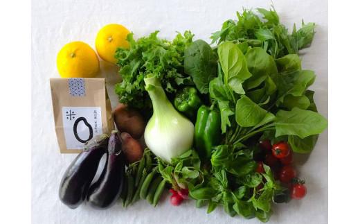 【ふるさと納税】 お米2合 野菜8-10品目セット 米 2合 野菜 8?10品 セット 詰め合わせ お米 300g 白米 ヒノヒカリ 採れたて 家計応援 果物 やさい フルーツ 使い切り トマト なす ブランド米 精米 高知県 安田町 MR-01