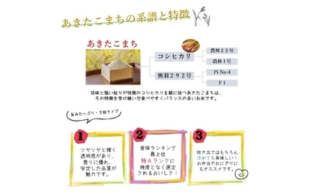 令和7年産 新米 食べ比べ セット 精米 白米 ひとめぼれ＆あきたこまち 各5kg 計10kg 秋田県 能代市産 お米 ブランド米
