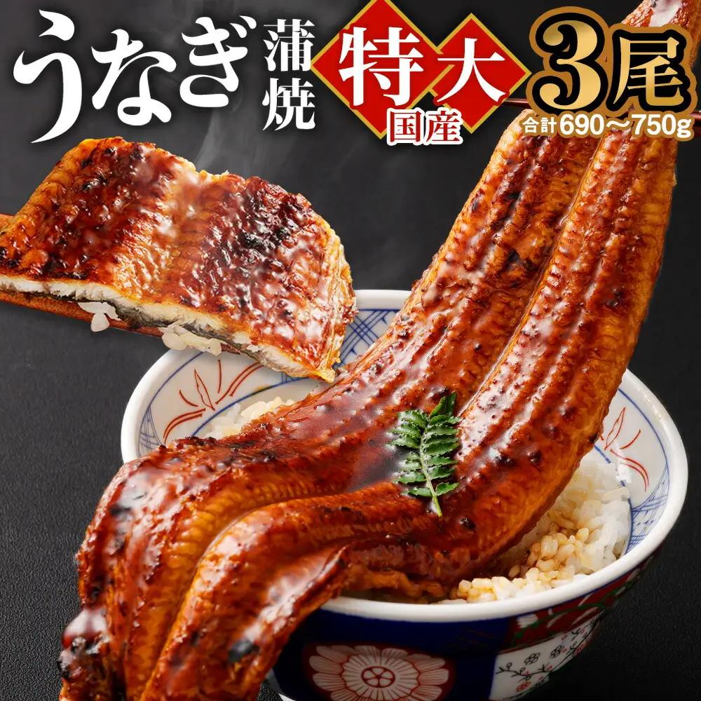 国産 うなぎ 蒲焼 3尾 （690g～750g）と 特製タレ 3個 セット