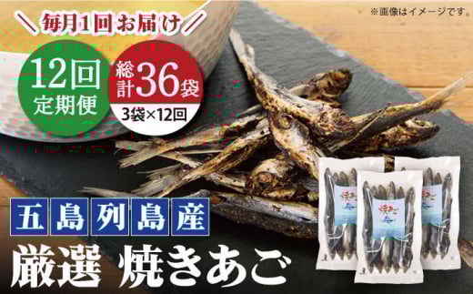 【全12回定期便】【上五島の伝統的な味をご家庭で】 厳選 無添加 焼きあご 100g×3袋【新魚目町漁業協同組合】 [RBC012]