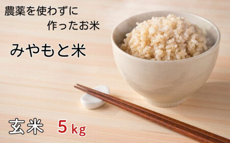 農薬を使わずに作ったお米　みやもと米（玄米）　5kg