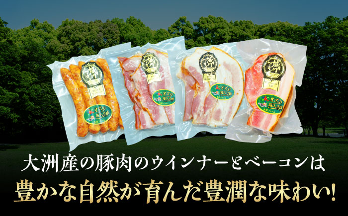 【全12回定期便】秒でプラスもう一品！ブランドポーク『オズの箱入り娘』使用！ベーコンとウィンナーセット（大）　愛媛県大洲市/株式会社オズメッセ [AGAZ024]
