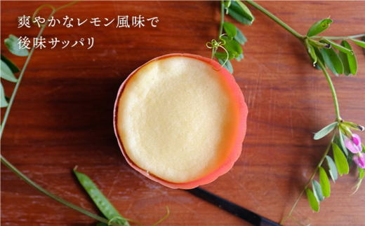 【全12回定期便】無添加チーズの櫻井チーズケーキ【5個入り】 糸島市 / 糸島手作り工房 爽風 [ATA007] スイーツ チーズケーキ 個包装 濃厚 レモン 冷凍 冷蔵