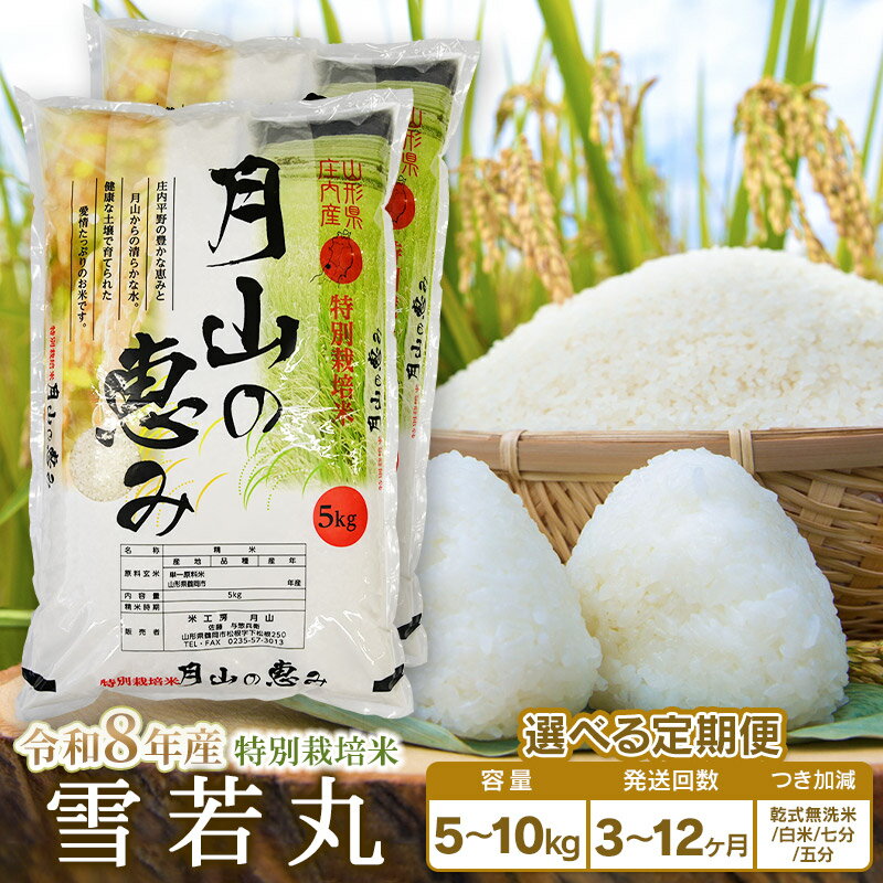 【ふるさと納税】【令和8年産先行予約】定期便　特別栽培米 雪若丸 選べる容量（5kg・10kg）・発送回数（3・6・12回） 毎月1回中旬発送 | 山形県 鶴岡市 無洗米 精米 白米 7分 5分つき ブランド米 特産品 お取り寄せ お米 おこめ