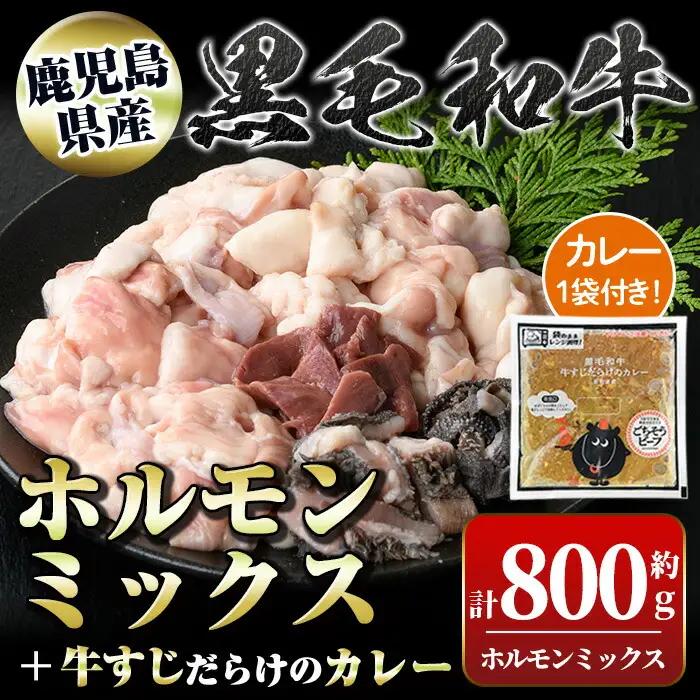 国産 黒毛和牛 ミックスホルモン 牛ホルモン 計800g 牛すじだらけのカレー 1袋 牛肉 レトルト【新村畜産】A91031