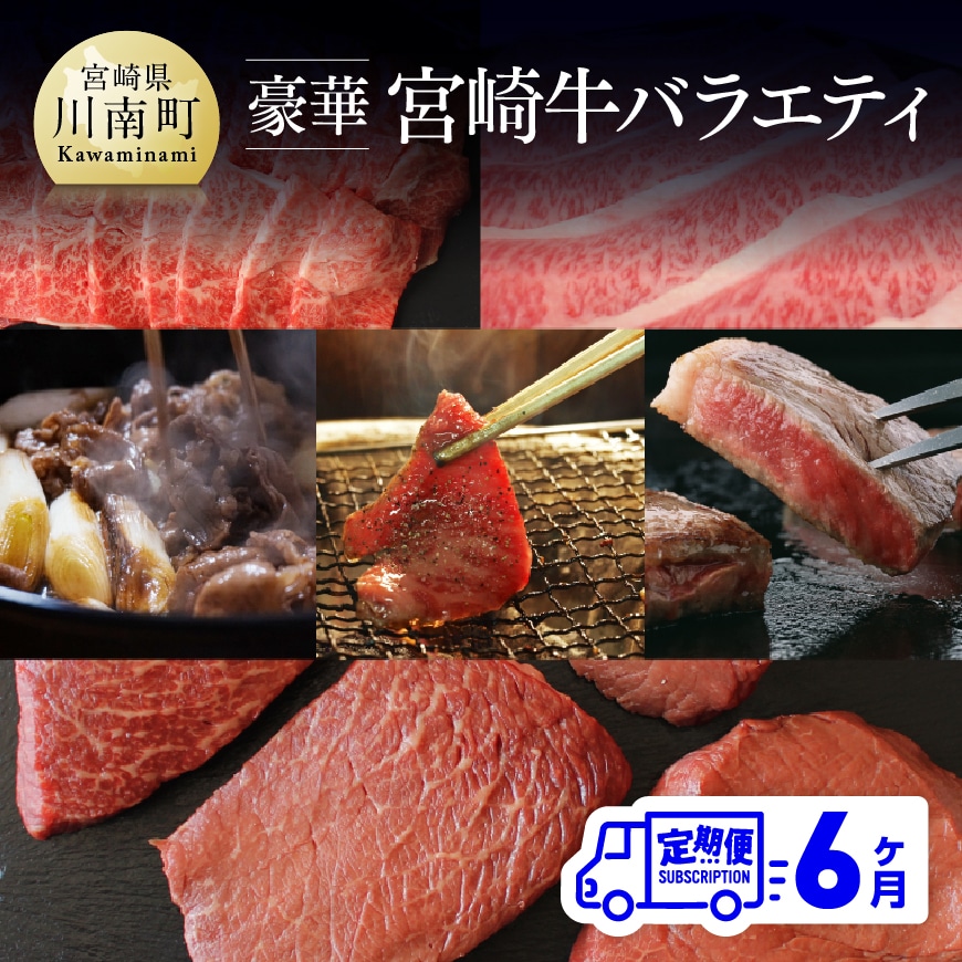 【定期便】 豪華！ 宮崎牛 バラエティ6ヶ月コース 牛肉 牛 肉 定期便[G7426]