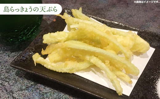 【産地直送】南国フーズの島らっきょう約1kg - 国産 生らっきょう 甘酢漬け 漬物 天ぷら チャンプルー おすすめ 送料無料 沖縄県 八重瀬町産