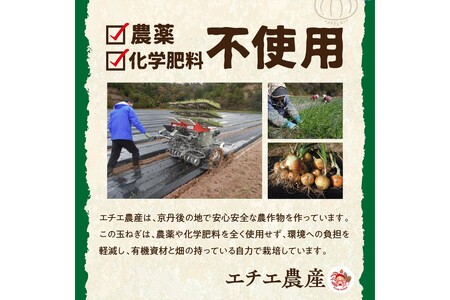 【先行予約】京都 丹後産 甘い有機玉ねぎ 5キロ【有機JAS取得】（2024年6月上旬～発送）