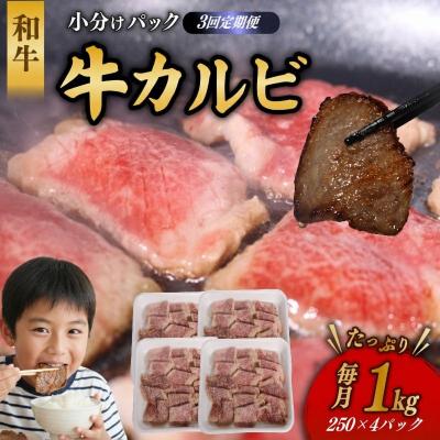ふるさと納税 室戸市 【3回定期便】 国産 牛カルビ 1kg 牛肉 焼肉