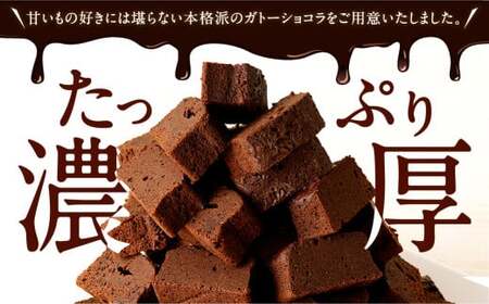 南阿蘇鉄道 トロッコショコラ 20本（約180g×20本）【2025年9月発送】菓子 お菓子 焼き菓子 チョコ風味 ショコラ ガトーショコラ 個包装 小分け