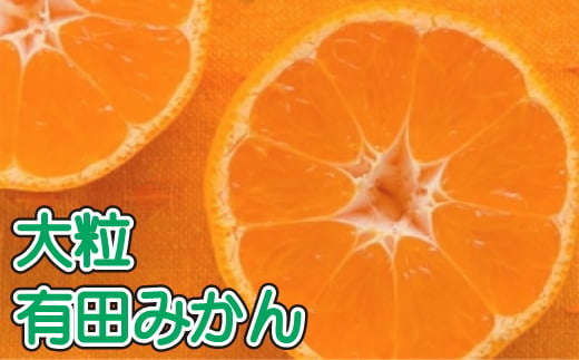 【果汁たっぷり】迫力満点！ 大粒 有田みかん 5kg【2024年11月中旬～12月下旬順次発送予定】※北海道・沖縄・離島配送不可 / 和歌山 ミカン オレンジ 柑橘 フルーツ 果物 くだもの 旬