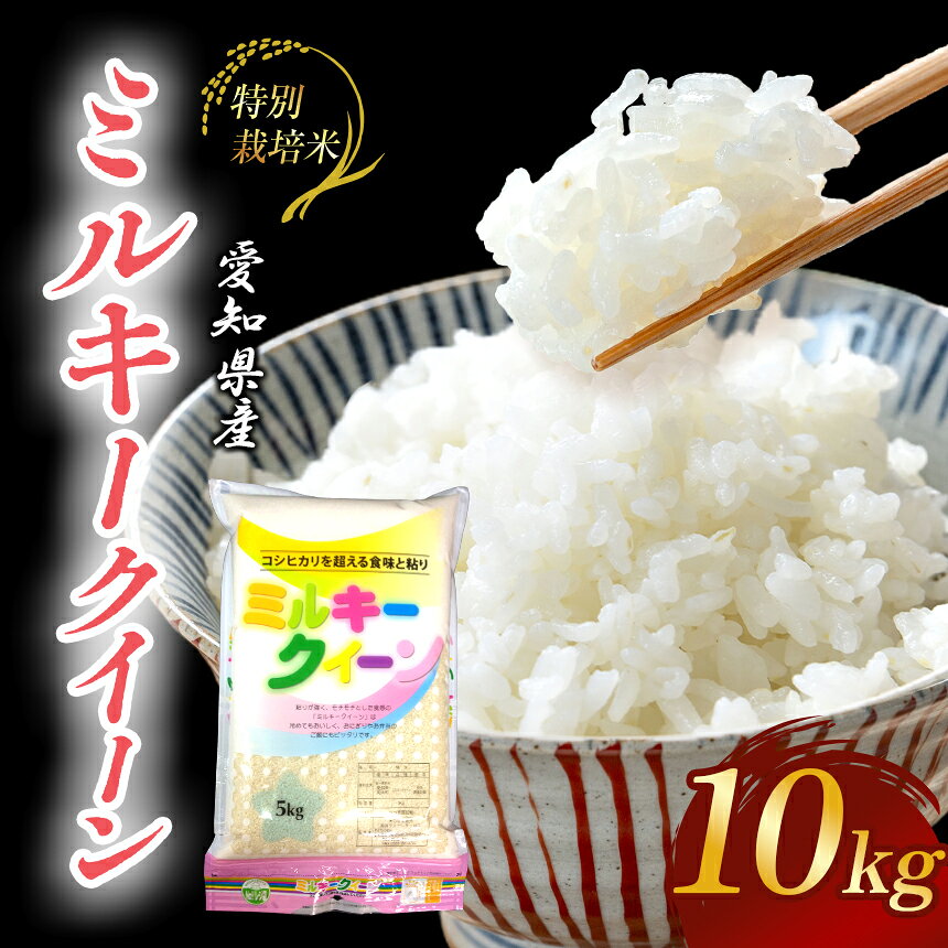 【ふるさと納税】【地元生産者の思いが伝わる一品】特別栽培米ミルキークイーン10kg 令和8年産米◇ | 米 こめ ミルキークイーン 令和8年産米 特別栽培米 愛知県美浜産 愛知県 美浜町