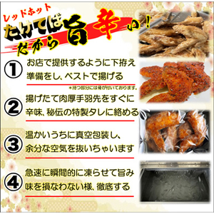 レッドホット手羽先唐揚げ瞬間急速冷凍仕上げ　5本入×4セット【配送不可地域：離島】【1419524】
