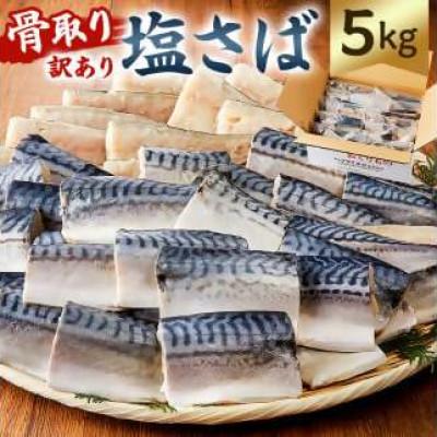 ふるさと納税 南房総市 骨取り塩さば　切身5kg(500g×10)脂乗良好【訳あり】　mi0012-0098