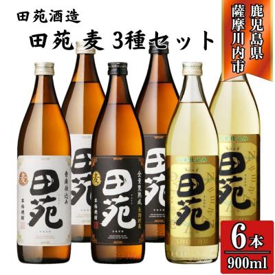 ふるさと納税 薩摩川内市 田苑 白・黒・金 麦焼酎 25度 900ml×各2本(計6本) 田苑酒造 麦焼酎 麦 BS-934