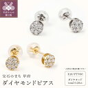 【ふるさと納税】 ピアス ジュエリー アクセサリー レディース ダイヤモンド 0.20カラット シンプル 選べる地金 イエローゴールド K18 プラチナ PT900 丸型 ギフト プレゼント 誕生日 ジュエリーケース付 鑑別書付 保証書付 k098-031