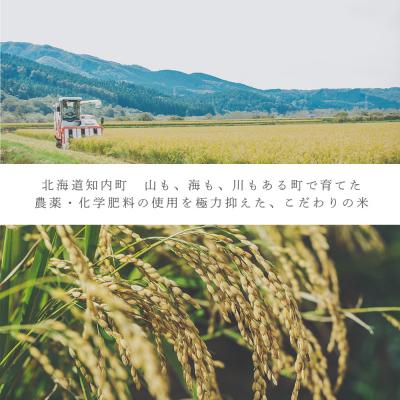 ふるさと納税 知内町 ふっくりんこ 米 一合 150g× 1袋 国産 北海道 北海道産 北海道米 ふっくりんこ |  | 02