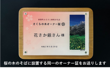 桜の木 1本 の オーナー権 及び オーナー証 ＜出荷時期：2023年5月20日～2024年2月20日 ごろ＞| 北海道 釧路町 別保公園 桜の木 桜 さくら 自然 保護 植樹体験 体験 北海道 先行