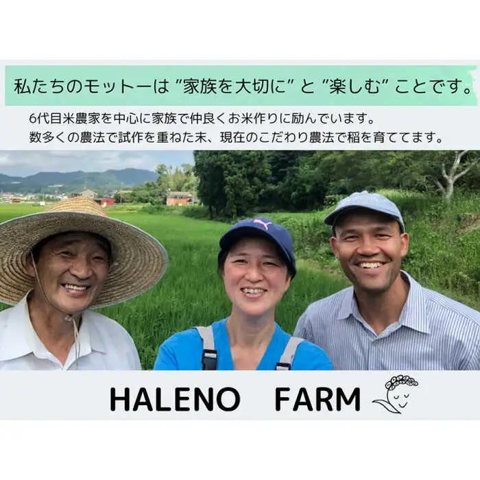 きぬむすめ 無洗米 10kg / 無洗 【ALBW011】