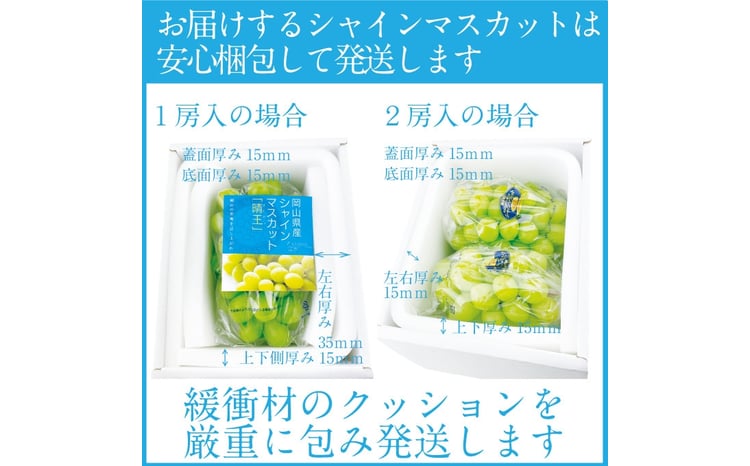 2026年 先行予約受付中 シャインマスカット晴王 1房 約550g 岡山県産 種無し 皮ごと食べる みずみずしい 甘い フレッシュ 瀬戸内 晴れの国 おかやま 果物大国 ハレノフルーツ