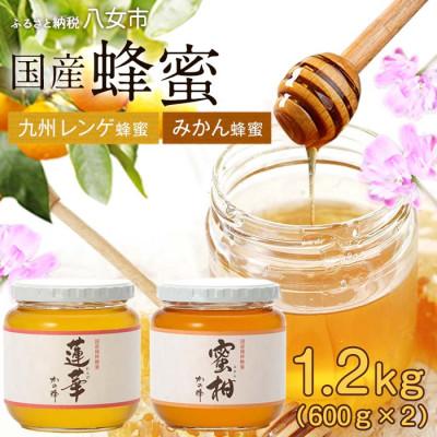 ふるさと納税 八女市 かの蜂の国産はちみつ 2種 1.2kg(レンゲ蜂蜜600g、みかん蜂蜜600g)