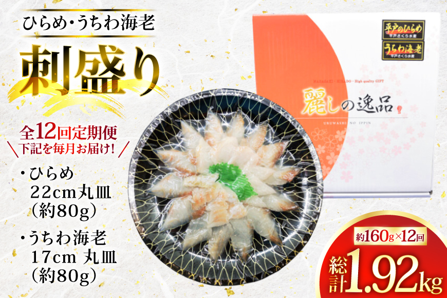 ヒラメ ウチワエビ 刺身 盛り合わせ ひらめ うちわ海老 刺盛セット 約160g×12回 計1920g 【全12回定期便】 [平戸さくら水産 長崎県 平戸市 hr42bgy420147] 魚介 さかな