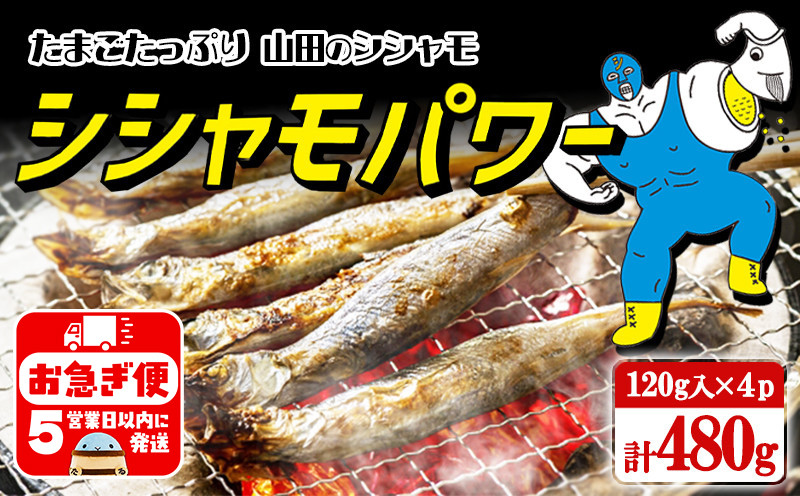冷凍 子持ち からふとししゃも シシャモパワー　480g（120g×4パック）